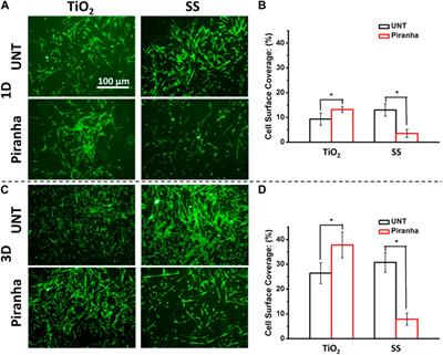 Piranha solution treatment: A facile method for improving the antithrombotic ability and regulating smooth muscle cell growth on blood contact materials